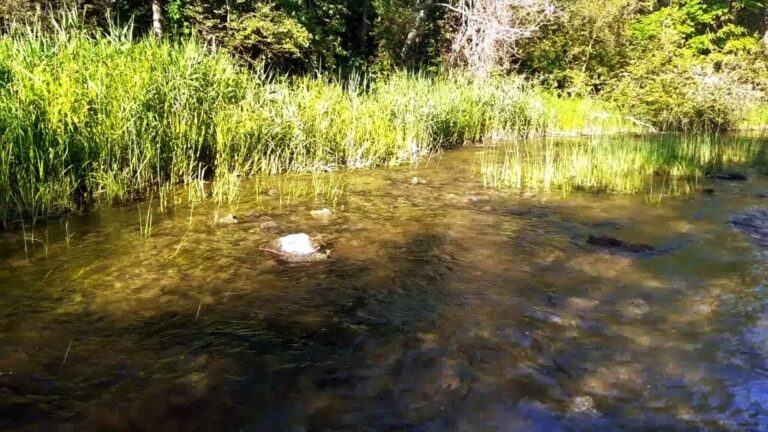 first time fishing with tenkara