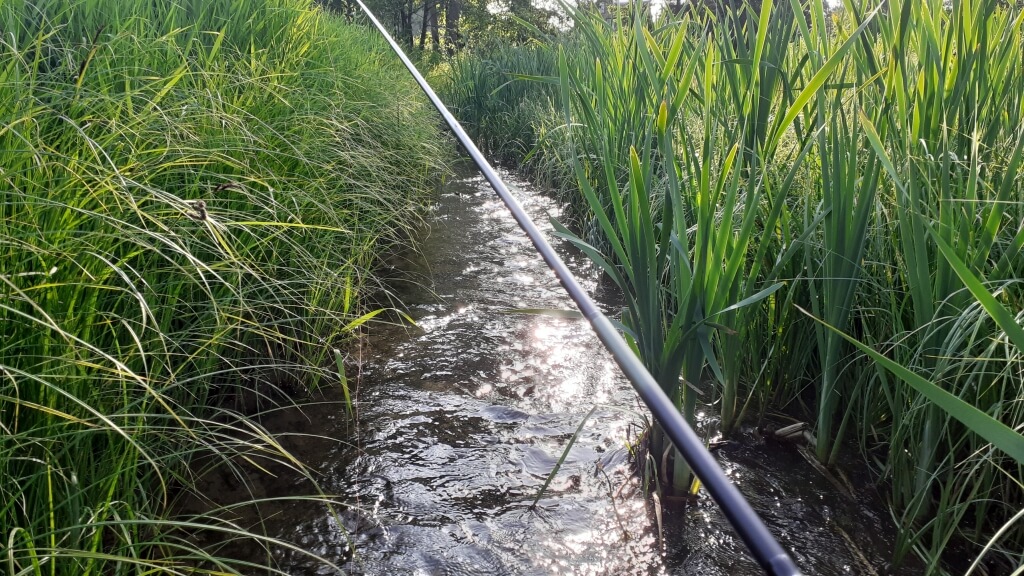 Small stream